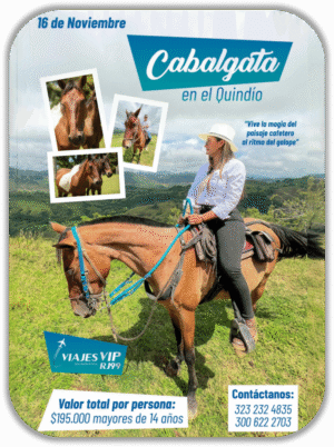 Cabalgata Viajes VIP RJ99
