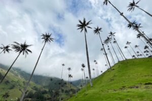 Viajes VIP RJ99 SALENTO QUINDIO Viajes VIP RJ99 SALENTO QUINDIO