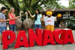 Viajes VIP RJ99 PANACA 6 Viajes VIP RJ99 PANACA 6