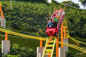 Viajes VIP RJ99 PARQUE DEL CAFE 5