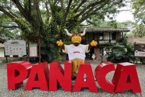 Tour Panaca VIAJES VIP RJ99 Tour Panaca VIAJES VIP RJ99