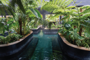 Termales del Otoño VIAJES VIP RJ99