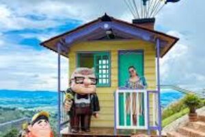 images (3) images (3)