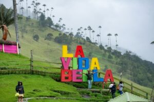 juan-manuel-nunez-mendez-21eTH9xRjCk-unsplash juan-manuel-nunez-mendez-21eTH9xRjCk-unsplash