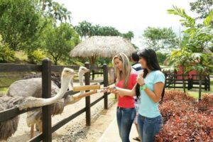 Tour Panaca VIAJES VIP RJ99 Tour Panaca VIAJES VIP RJ99