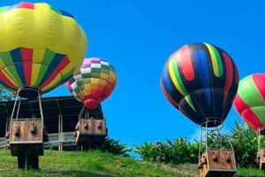 Tour Buenavista y Córdoba VIAJES VIP RJ99 Tour Buenavista y Córdoba VIAJES VIP RJ99