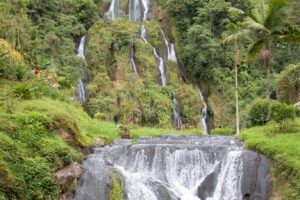 _MG_1039.1
